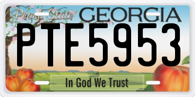 GA license plate PTE5953