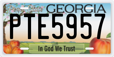GA license plate PTE5957