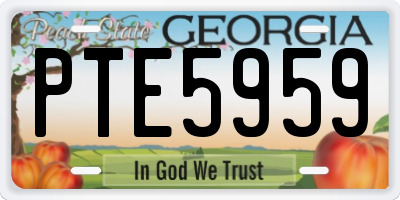 GA license plate PTE5959