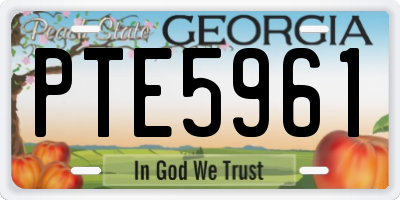 GA license plate PTE5961