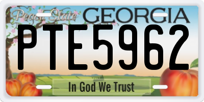 GA license plate PTE5962