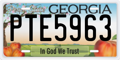 GA license plate PTE5963