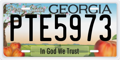 GA license plate PTE5973