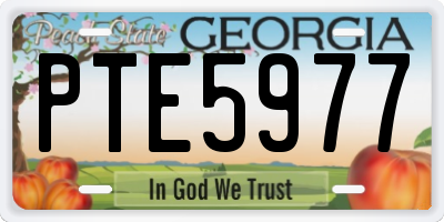 GA license plate PTE5977