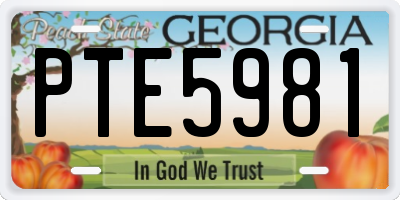 GA license plate PTE5981