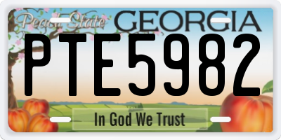 GA license plate PTE5982