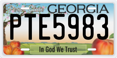 GA license plate PTE5983