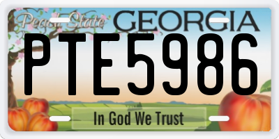 GA license plate PTE5986
