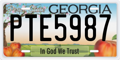 GA license plate PTE5987