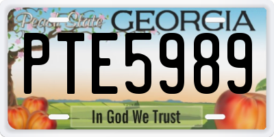 GA license plate PTE5989