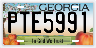 GA license plate PTE5991