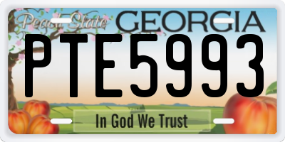 GA license plate PTE5993