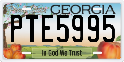 GA license plate PTE5995