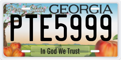 GA license plate PTE5999