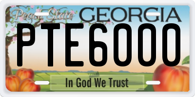 GA license plate PTE6000