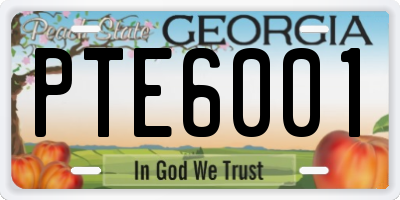 GA license plate PTE6001