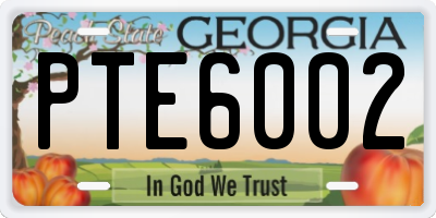 GA license plate PTE6002