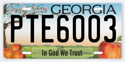 GA license plate PTE6003