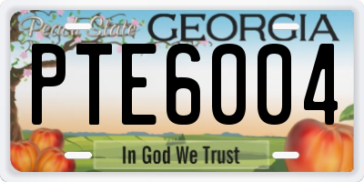 GA license plate PTE6004