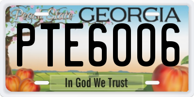 GA license plate PTE6006