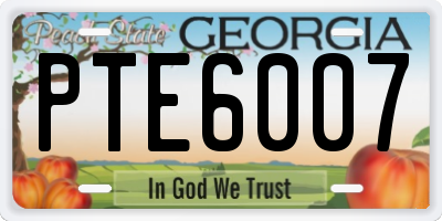 GA license plate PTE6007