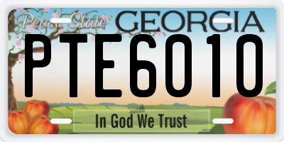 GA license plate PTE6010