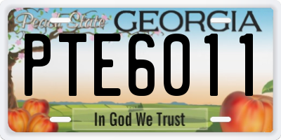 GA license plate PTE6011