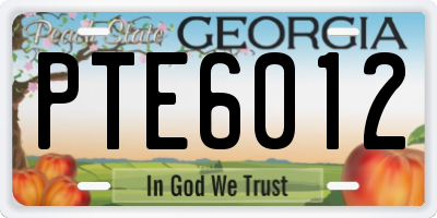 GA license plate PTE6012