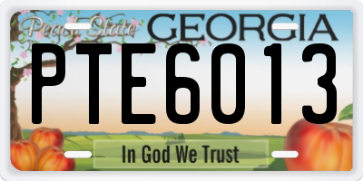 GA license plate PTE6013
