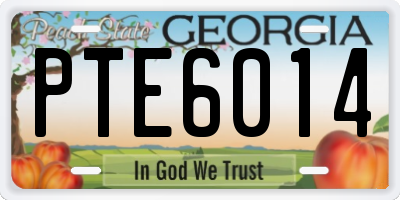 GA license plate PTE6014