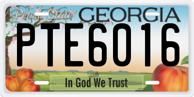 GA license plate PTE6016