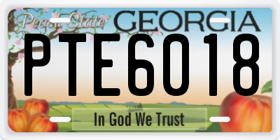 GA license plate PTE6018