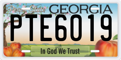 GA license plate PTE6019