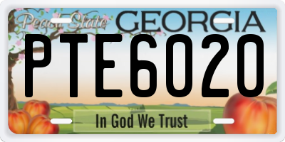 GA license plate PTE6020