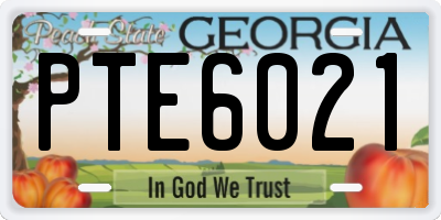GA license plate PTE6021