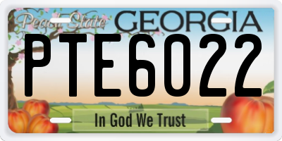GA license plate PTE6022