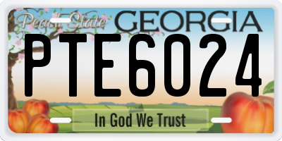 GA license plate PTE6024