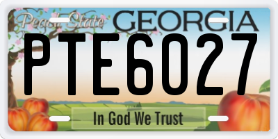 GA license plate PTE6027