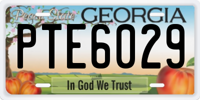 GA license plate PTE6029