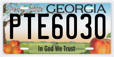 GA license plate PTE6030
