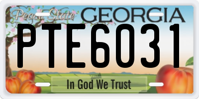 GA license plate PTE6031