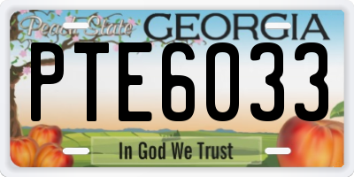 GA license plate PTE6033