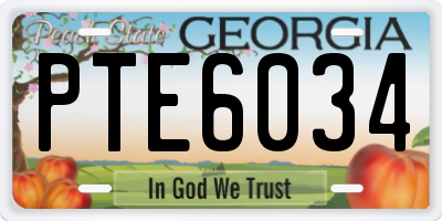 GA license plate PTE6034