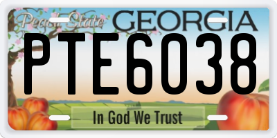 GA license plate PTE6038