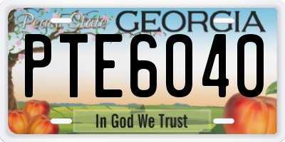 GA license plate PTE6040