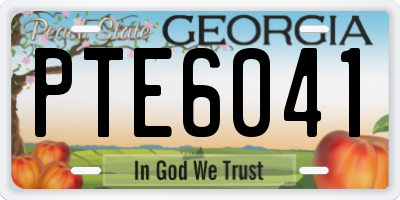 GA license plate PTE6041