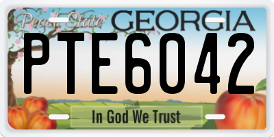 GA license plate PTE6042