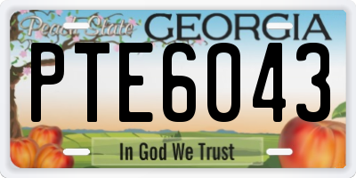 GA license plate PTE6043