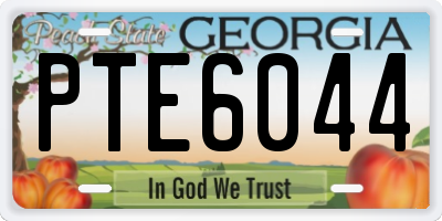 GA license plate PTE6044