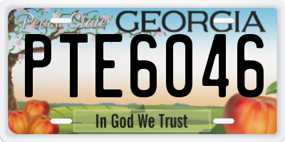 GA license plate PTE6046